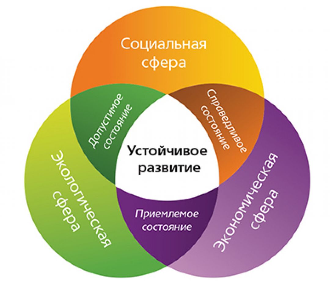 пиджак относят старая и новая схема устойчивого развития картинки грибы, что достигли